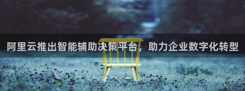 阿里云推出智能辅助决策平台，助力企业数字化转型