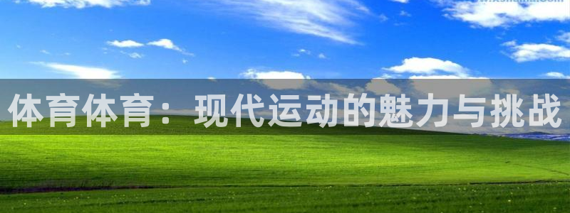 体育体育：现代运动的魅力与挑战
