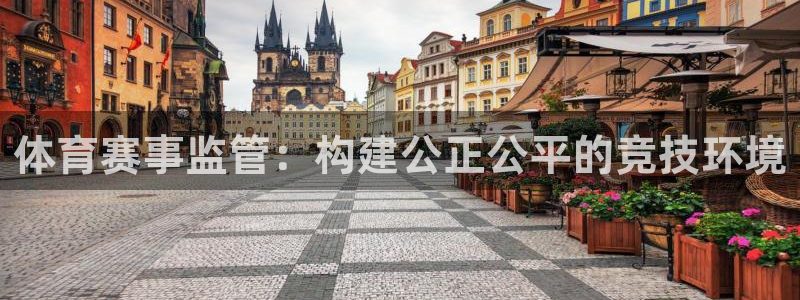 体育赛事监管：构建公正公平的竞技环境