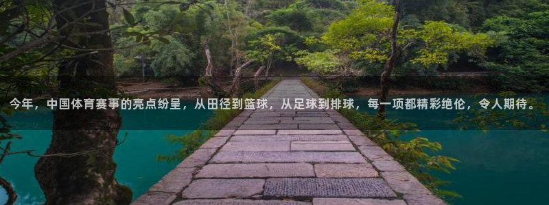 今年，中国体育赛事的亮点纷呈，从田径到篮球，从足球到排球，每一项都精彩绝伦，令人