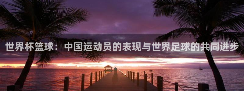 世界杯篮球：中国运动员的表现与世界足球的共同进步