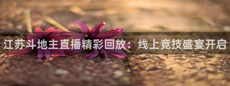 江苏斗地主直播精彩回放：线上竞技盛宴开启
