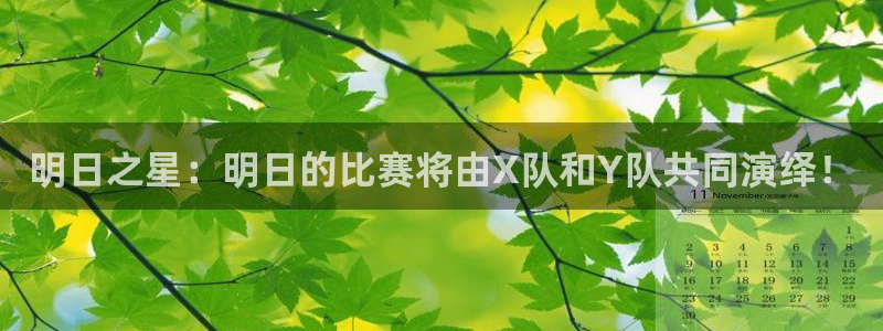 明日之星：明日的比赛将由X队和Y队共同演绎！