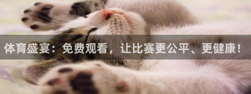 体育盛宴：免费观看，让比赛更公平、更健康！