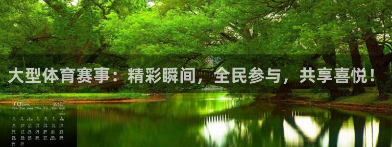 大型体育赛事：精彩瞬间，全民参与，共享喜悦！
