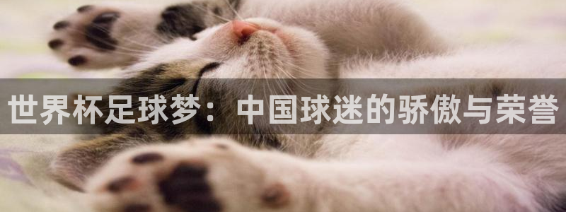 世界杯足球梦：中国球迷的骄傲与荣誉